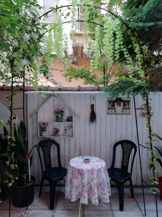 Art Guest House Orchidea Pomorie Exteriör bild