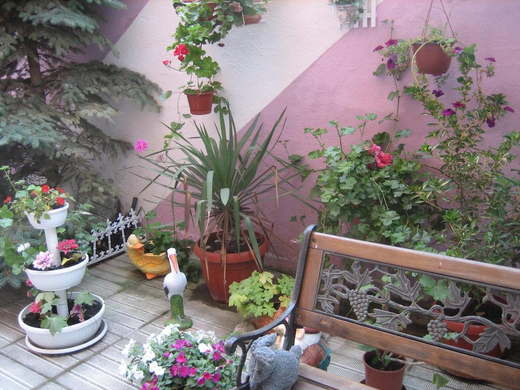 Art Guest House Orchidea Pomorie Exteriör bild